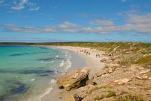 Coral Expeditions guests beachcombing at MacLaren Point.