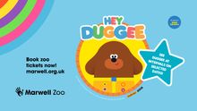 Hey Duggie