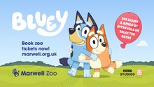Bluey at Marwell 