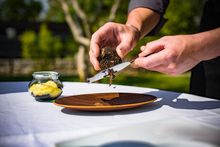 Istrian truffle