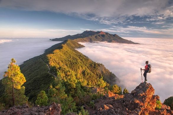 Canary Island Yoga Retreat at Art-Filled, 17th Century Hacienda October 11-16, 2023