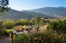 Conscious Leadership Retreat for Women,  Rancho La Puerta, Tecate, Mexico September 6-9, 2023