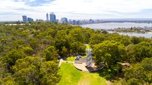 Kings Park, Perth Western Australia