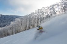 [Hoshino Resorts NEKOMA Mountain] Urabandai Area Powder