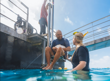 Quicksilver Cruises