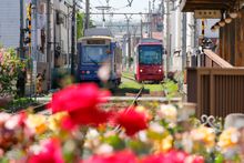 Minowabashi Tokyo Sakura Tram