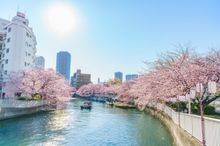 Oyokogawa River