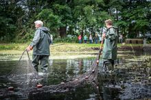 Abfischen bei den Lausitzer Fischwochen