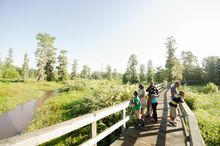 Phinizy Center and Nature park - Destination Augusta 