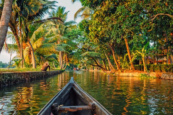 Kerala Boat India
