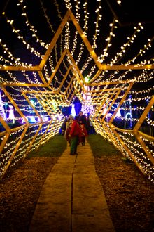 Elf Express and Magical Elf Forest, Quex Park, Birchington