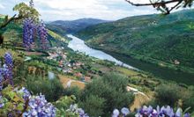 Douro River Valley 