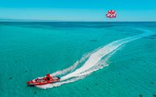 Parasail Whale Watching Parasail Whale Watching