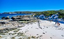 The Hike Collective new Rottnest Sustainability tour The Hike Collective new Rottnest Sustainability tour