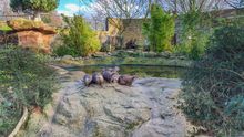 ZSL London Zoo