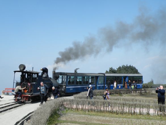 Darjeeling Himalayan Railway Joy Train 