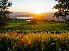 View of Lake Hennessy from Chappellet Winery
