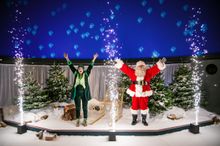 Cosmic Christmas at Winchester Science Centre 