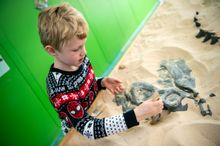 Science Dino-mite at Winchester Science Centre