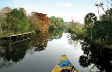 paddling the creeks along the St. Johns River