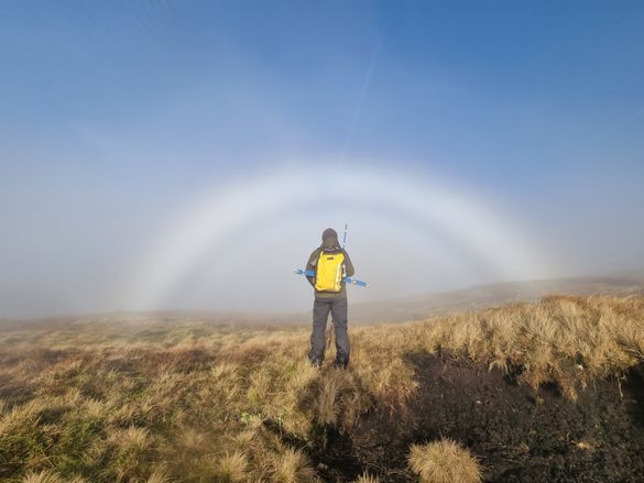 Peat surveying
