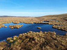 A restored peatland 