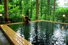 Okutama Onsen Moegi-no-yu