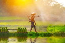 Vietnam farmer with plowing equipment 