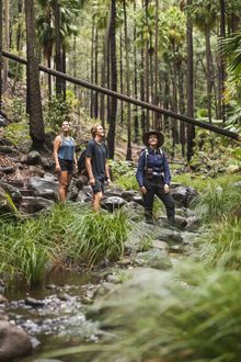 Carnarvon Gorge Eco Tours
