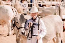 Beef Australia
