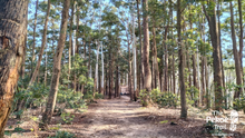 The Pekoe Trail, Sri Lanka 