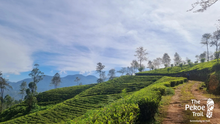 The Pekoe Trail, Sri Lanka 