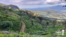 The Pekoe Trail, Sri Lanka 