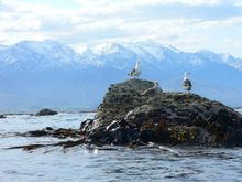 Kaikoura, New Zealand