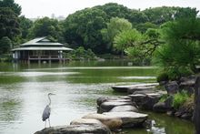 Kiyosumi Garden, Tokyo, Japan