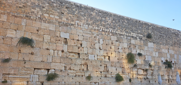 Kotel