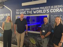 Coral Expeditions staff st the Cairns Aquarium Biobank.png.png