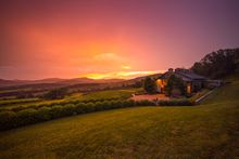 Pippin Hill Farm and Vineyards at sunset Virginia