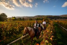 Indian Summer Guide Service at Pollak Vineyards Virginia