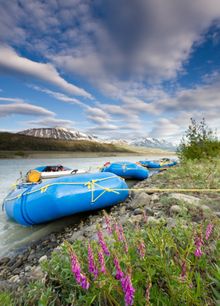 Alsek River rafting, Yukon