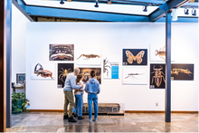 Musée de la Nature et des Sciences - Crédit photo: Charles Dion