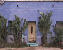 Barrio Door at Barrio Viejo