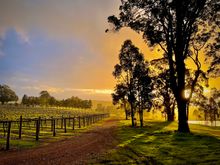 Redgum Wine Estate