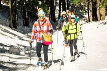 Snowshoeing in Yosemite National Park, Tuolumne County, Northern California