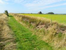 Hohlweg zwischen Grassodenwällen