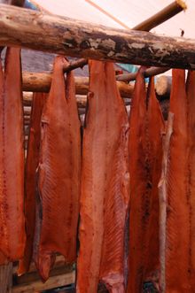 Teslin Tlingit Heritage Centre, fish camp, drying salmon