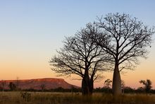 El Questro Wilderness Park, Gibb River Road