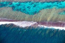 Ningaloo Reef