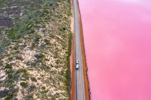 Hutt Lagoon, near Port Gregory 