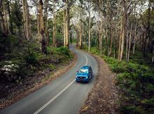 Boranup Forest, Margaret River Region 